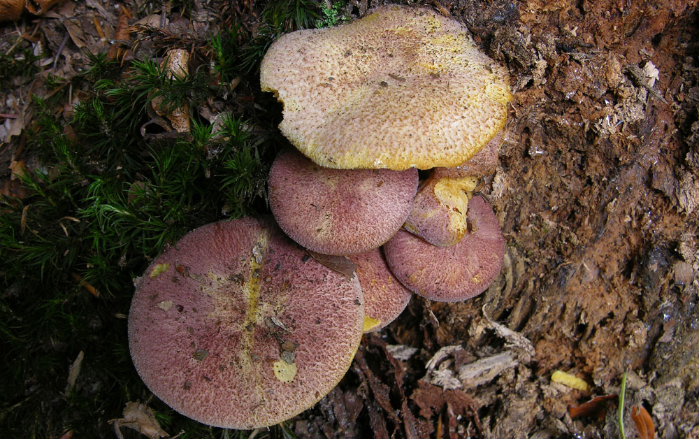 Svuotando l''archivio 2009....3� e ultima parte.